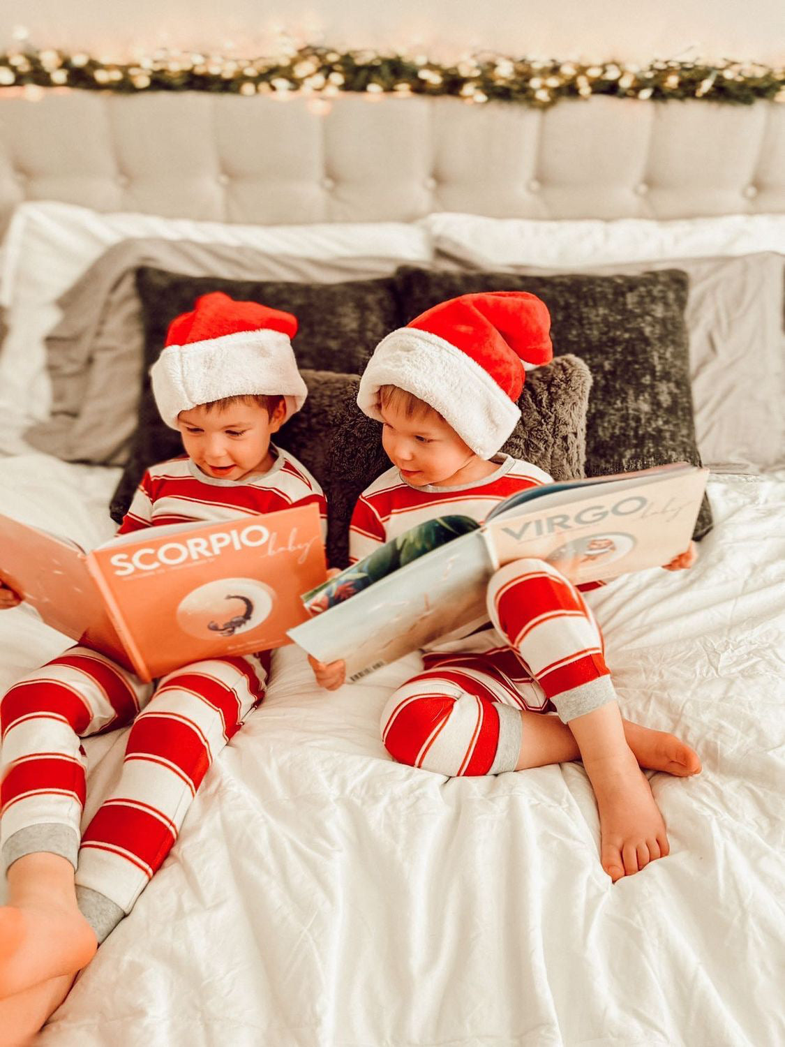 Christmas zodiac baby books