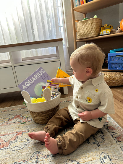 aquarius zodiac baby book